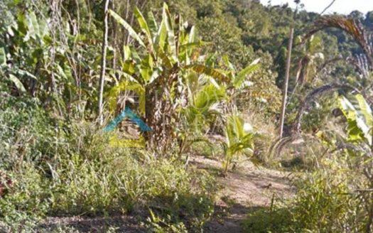 TVP 1873 – Lote a Venda no Mamanguá fazendo frente com o mar