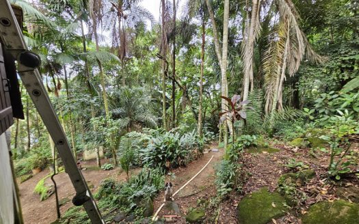 CVP 2083 – Casa a venda no bairro Trindade com vista mar