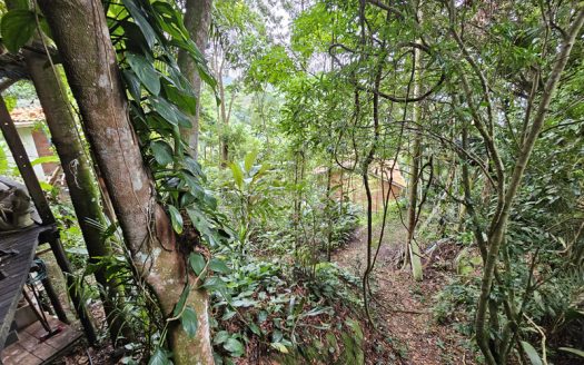 CVP 2083 – Casa a venda no bairro Trindade com vista mar