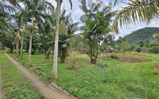 CVP 2095 – Chácara a Venda no Bairro Paraty Mirim