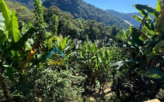 CVP 2015 – Lindo Chalé com Vista para a Mata no Bairro Barra Grande