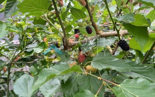 CVP 2048 – Bela Casa com Vista para o Mar no Corumbê